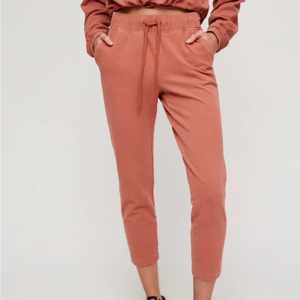 Aritzia The Constant Helena Pants